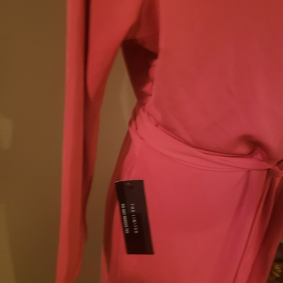 The Limited Wrap Dress - Picture 6 of 6